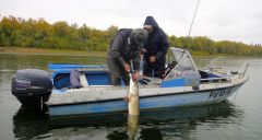 Last Import - 02.jpg