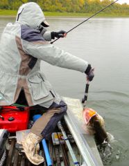 Last Import - 06.jpg