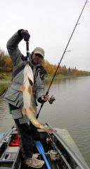 Last Import - 09.jpg