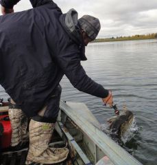 Last Import - 16.jpg