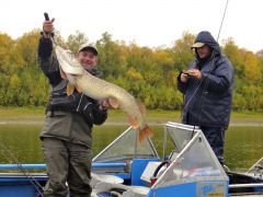 Last Import - 03.jpg