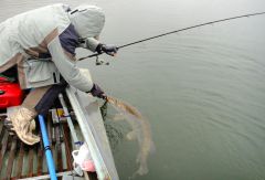 Last Import - 05.jpg