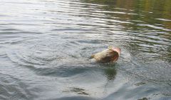 Last Import - 15.jpg