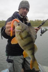 Last Import - 29.jpg