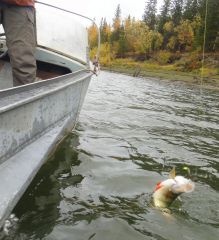 Last Import - 35.jpg