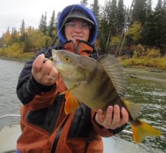 Last Import - 34.jpg