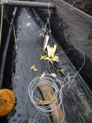 Last Import - 26.jpg