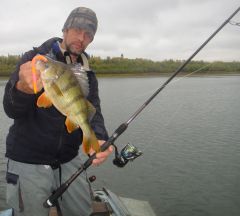 Last Import - 28.jpg