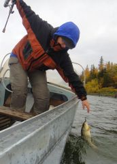 Last Import - 36.jpg