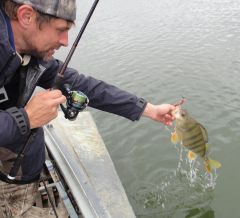 Last Import - 20.jpg