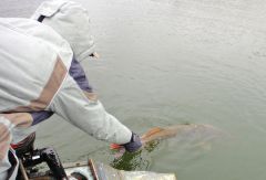 Last Import - 08.jpg