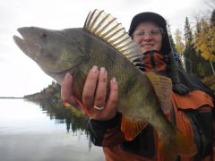 Last Import - 40.jpg