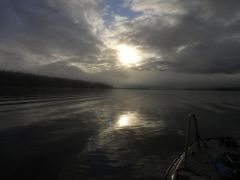 Last Import - 78.jpg