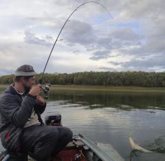 Last Import - 59.jpg