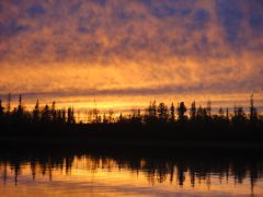 Last Import - 71.jpg