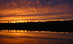 Last Import - 73.jpg