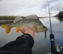 Last Import - 41.jpg