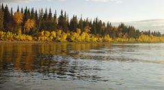 Last Import - 47.jpg