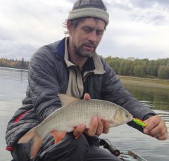 Last Import - 57.jpg