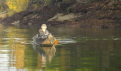 Last Import - 45.jpg