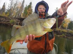 Last Import - 43.jpg