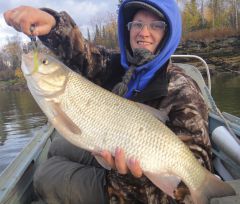 Last Import - 54.jpg