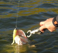 Last Import - 63.jpg