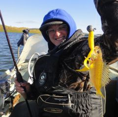 Last Import - 66.jpg