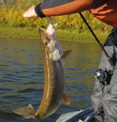 Last Import - 64.jpg