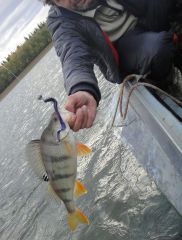 Last Import - 53.jpg