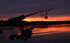 Last Import - 76.jpg