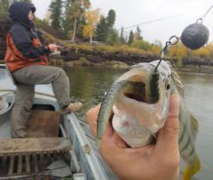 Last Import - 44.jpg