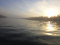 Last Import - 62.jpg