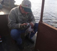 Last Import - 80.jpg