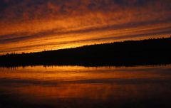 Last Import - 74.jpg