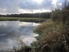 Изображение 028.jpg