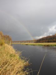 Изображение 027.jpg