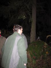 Изображение 110.jpg