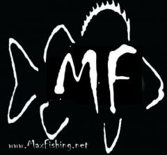 MF_logo11.jpg