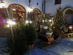 Новый год к нам мчится