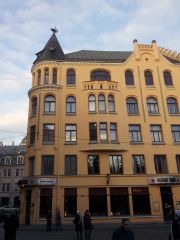 Рижский котэ на крыше