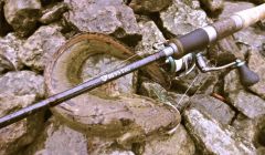 мистический налим.jpg