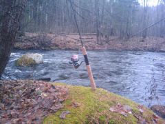 2011-11-05 12.32.53.jpg