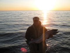 Всяко-разно