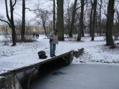 серебрянка