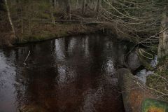 Статья про Форельку