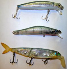 щука меляк.jpg