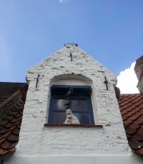 Котэ в Брюгге