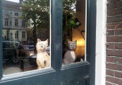 Деревянные котэ