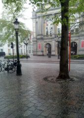 Вот так весенняя погода - град в Генте